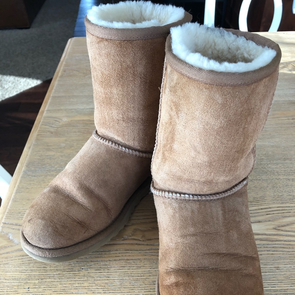 women’s classic short ugg boot chestnut